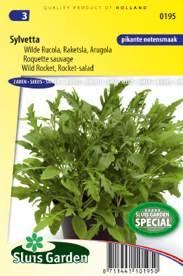 Roquette sauvage Sylvetta (Wild Rocket)