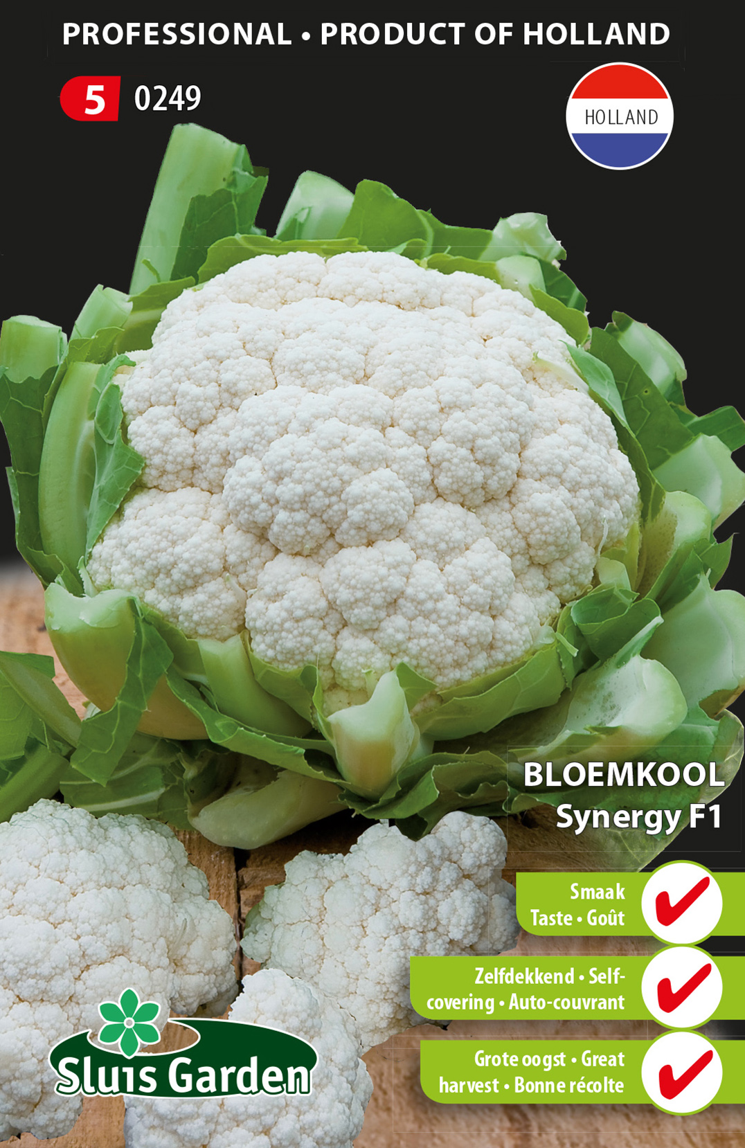 Bloemkool Synergy F1