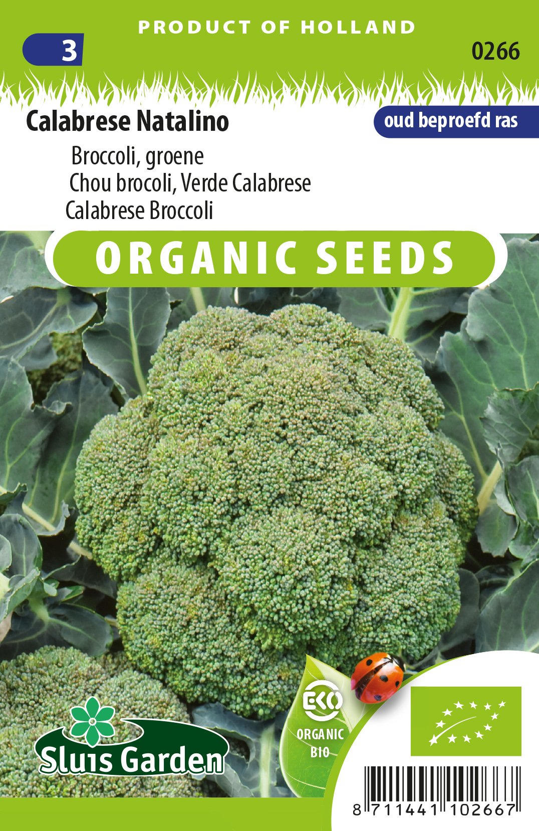 Chou brocoli Groene Calabrese Natalino