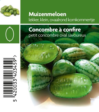 Concombre à confire (tray 12 pot)