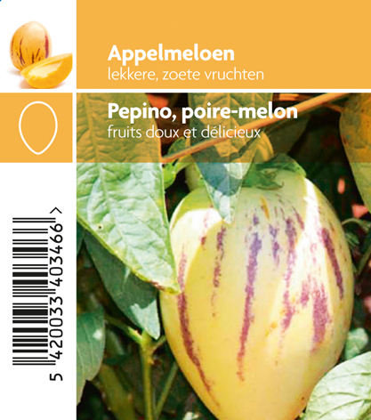 Appelmeloen (meloenpeer) (tray 12 pot)