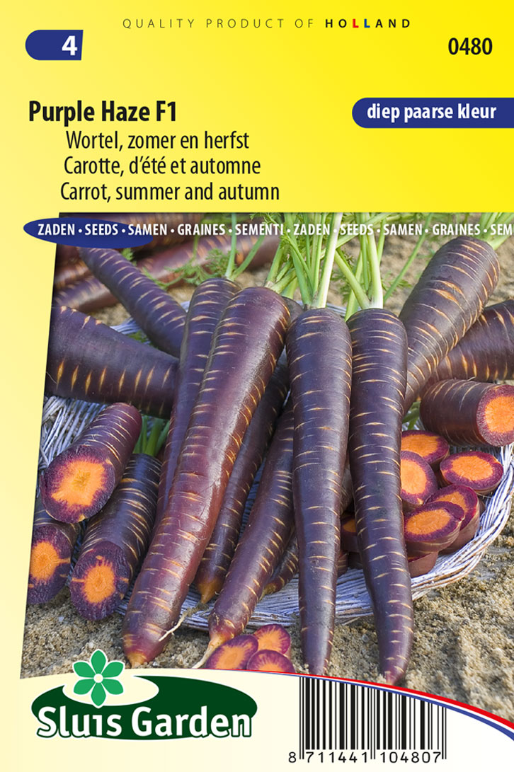 Carrotte Purple Haze F1