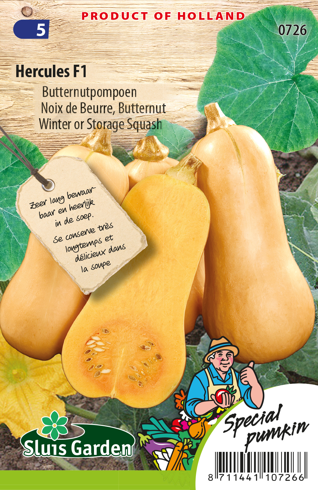 Potiron, Noix de Beurre Hercules F1 BIO (Butternut)