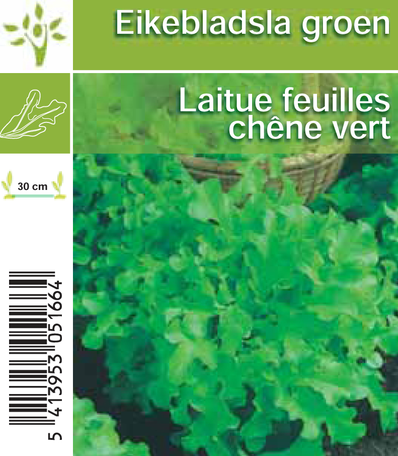 Sla Eikeblad groen per tray (8x6)