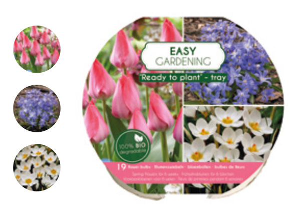 12 TRAY EASY GARDENING MIX (3*4)
