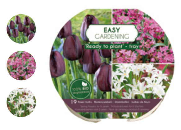 12 TRAY EASY GARDENING MIX (3*4)