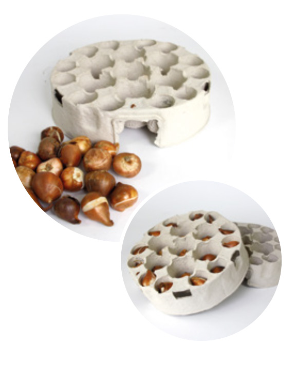 12 TRAY EASY GARDENING MIX (3*4)