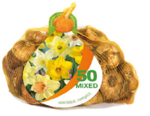 8 NETLON 50 NARCIS TROMPET MIX