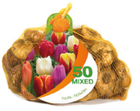 16 NETLONS 50 TULIPES TRIUMPH MIX