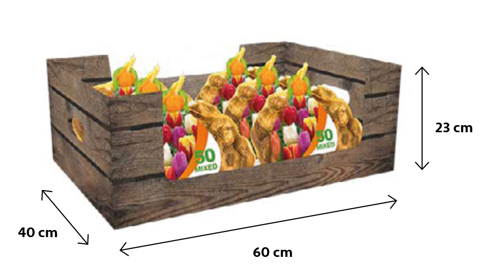 16 NETLONS 50 TULIPES TRIUMPH MIX