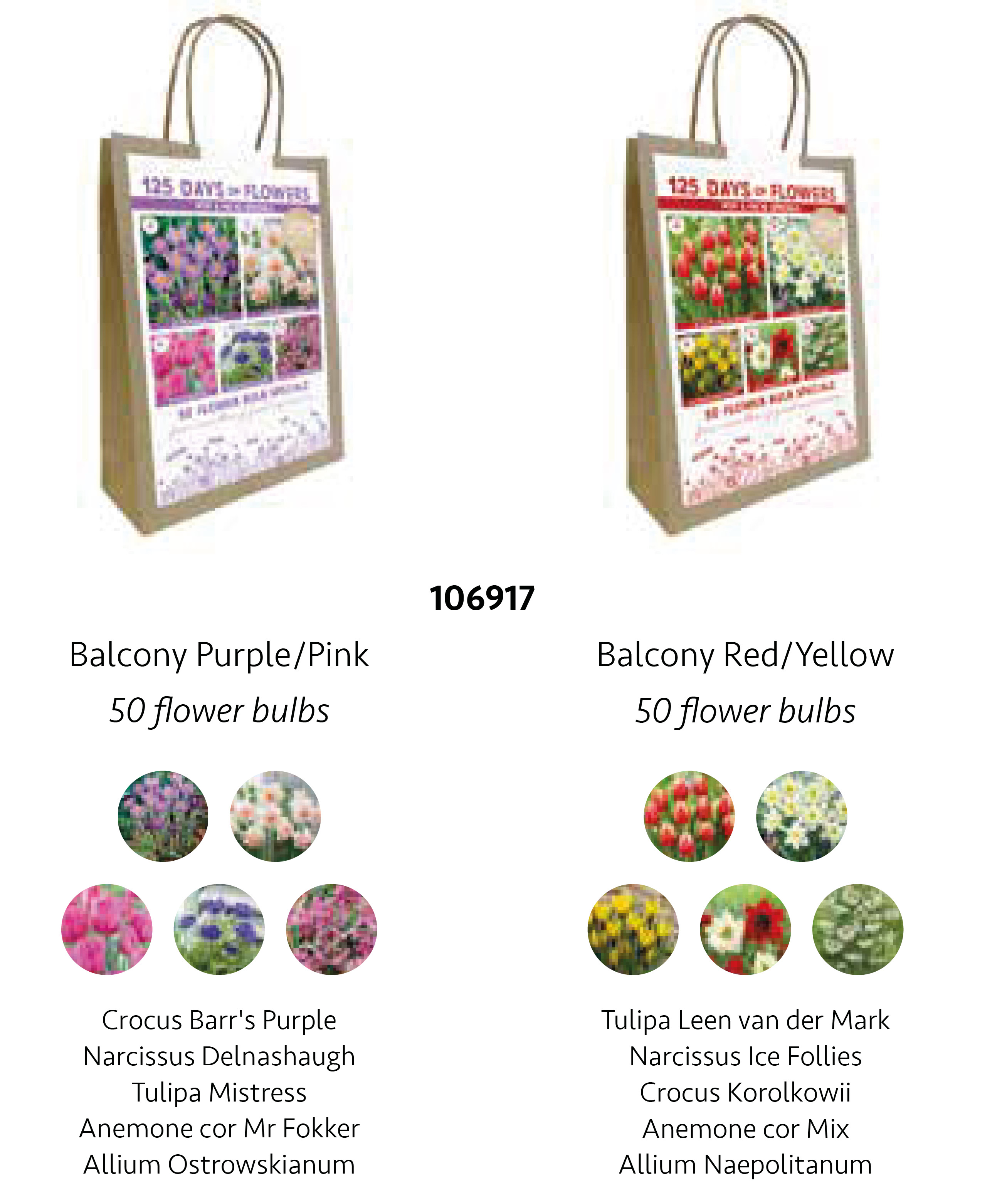 48 SACHETS 125 DAYS OF FLOWERS