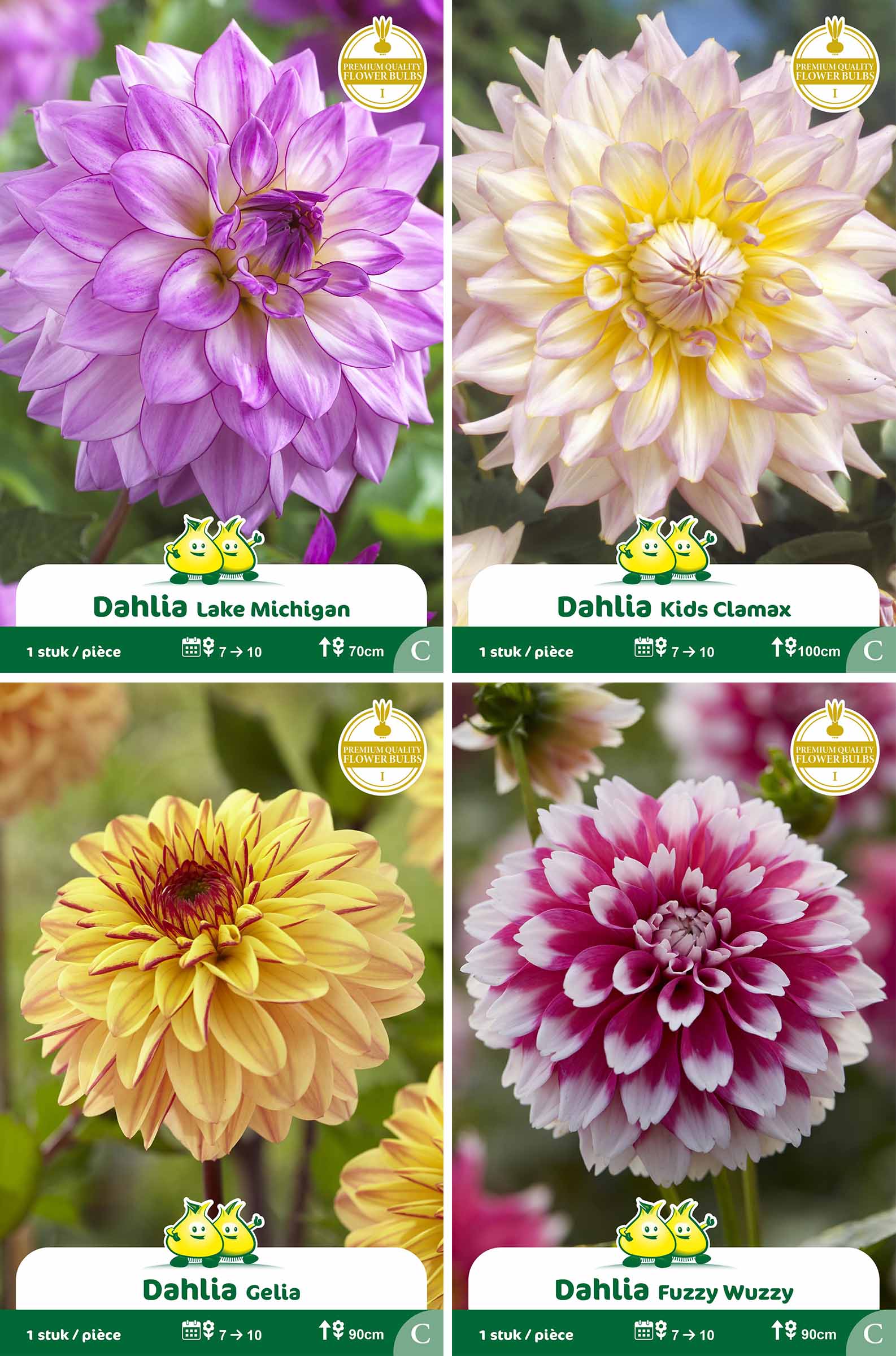 assortiment zakjes Dahlia