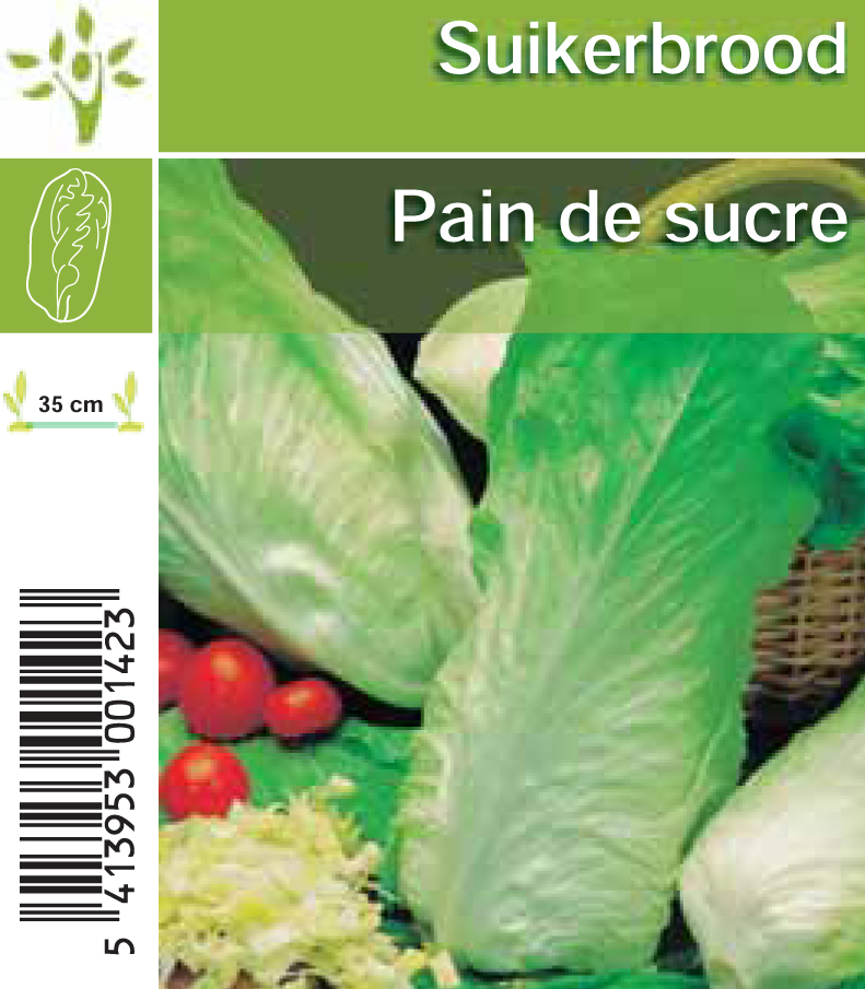 Pain de sucre tray (8x6)