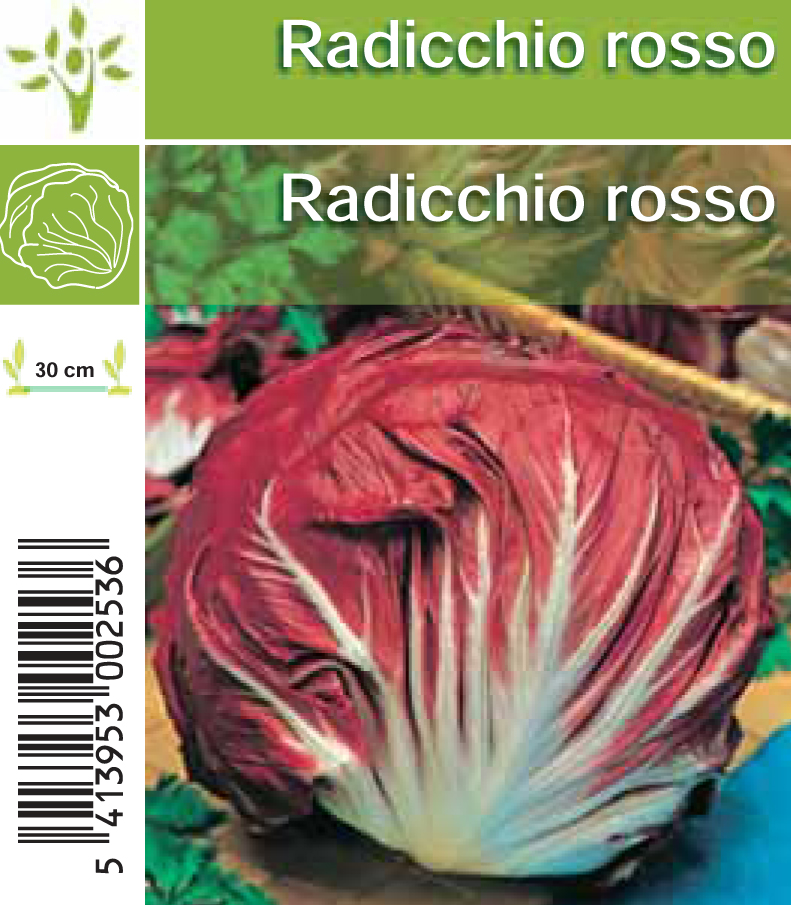 Radicchio rosso per tray (8x6)