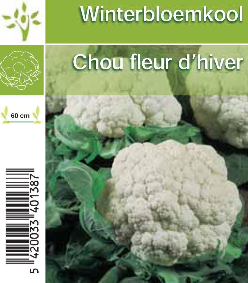 Chou fleur d'hiver par tray (8x6)