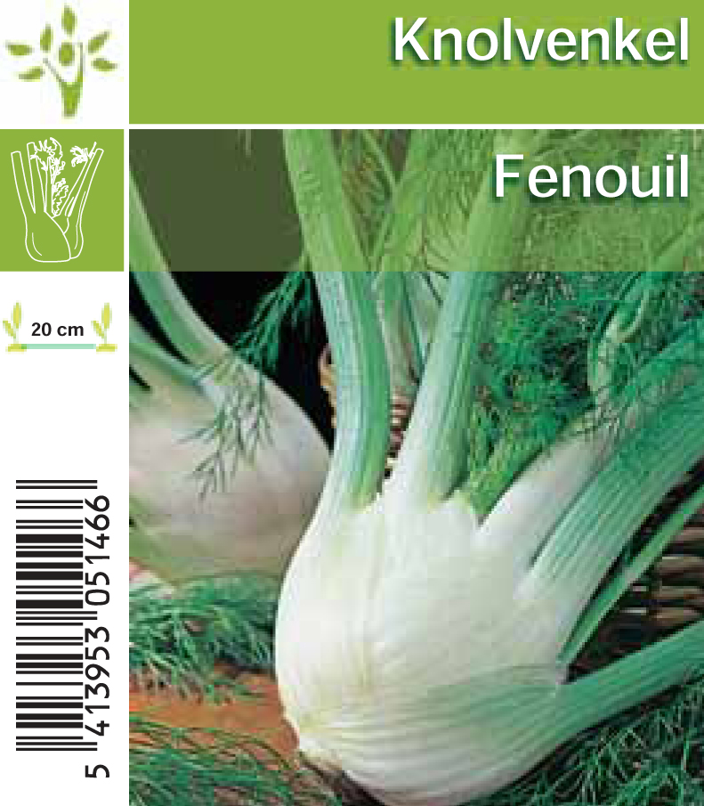Fenouil (tray 8*6)