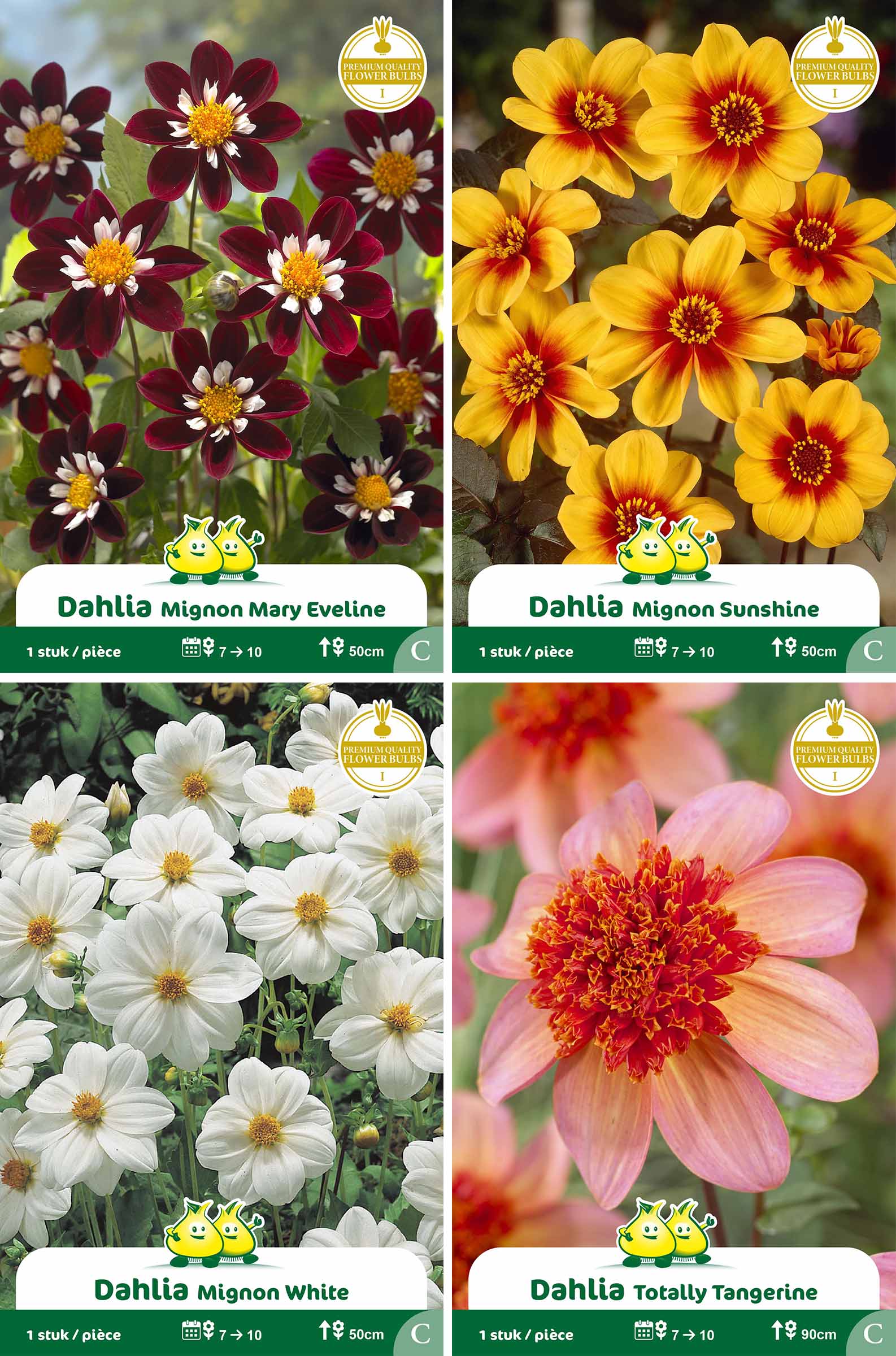 assortiment zakjes Dahlia
