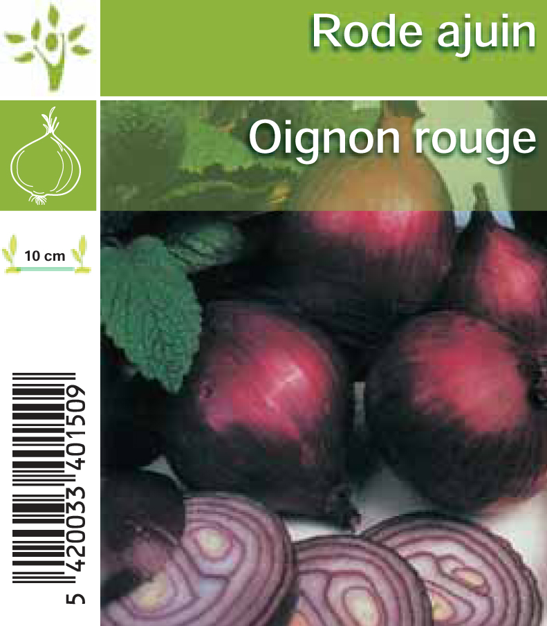 Oignon rouge par tray (8x6)