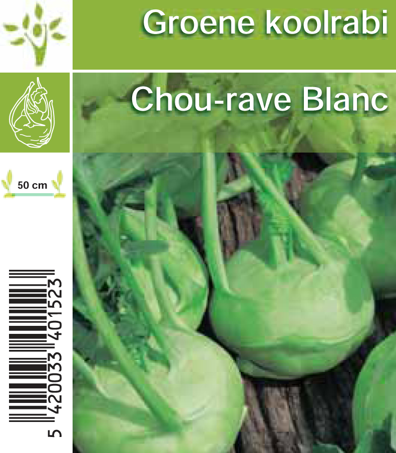 Koolrabi groene