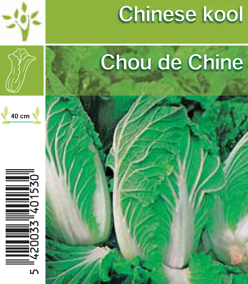 Chou de Chine Pe-Tsaï