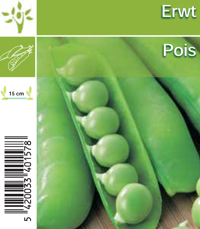 Pois tay (8x6) (tray 8*6)