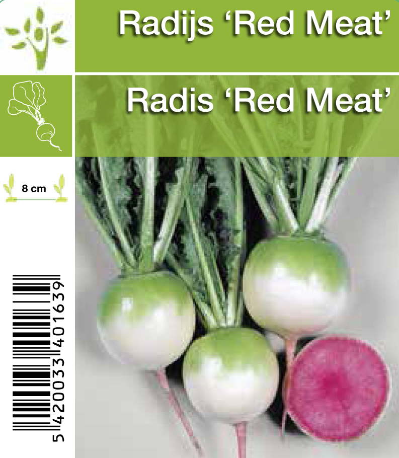 Radis 'Red Meat' (tray 8*6)
