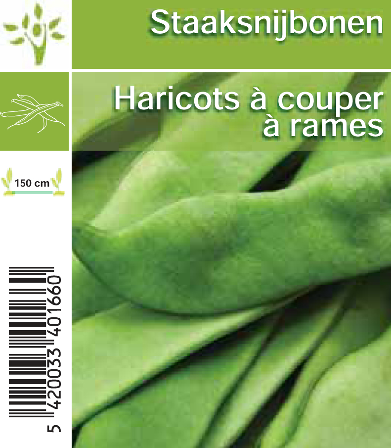 Haricots à couper à rames