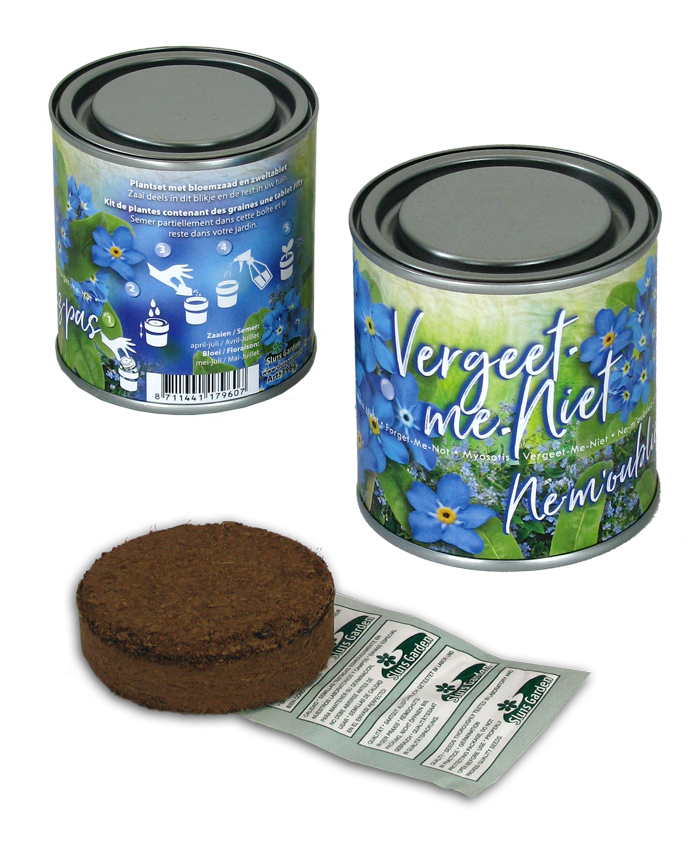 Bouquet en boîte : Myosotis