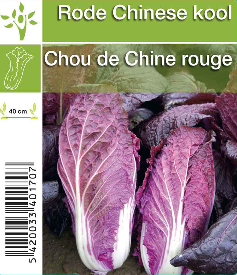 Chou de Chine rouge