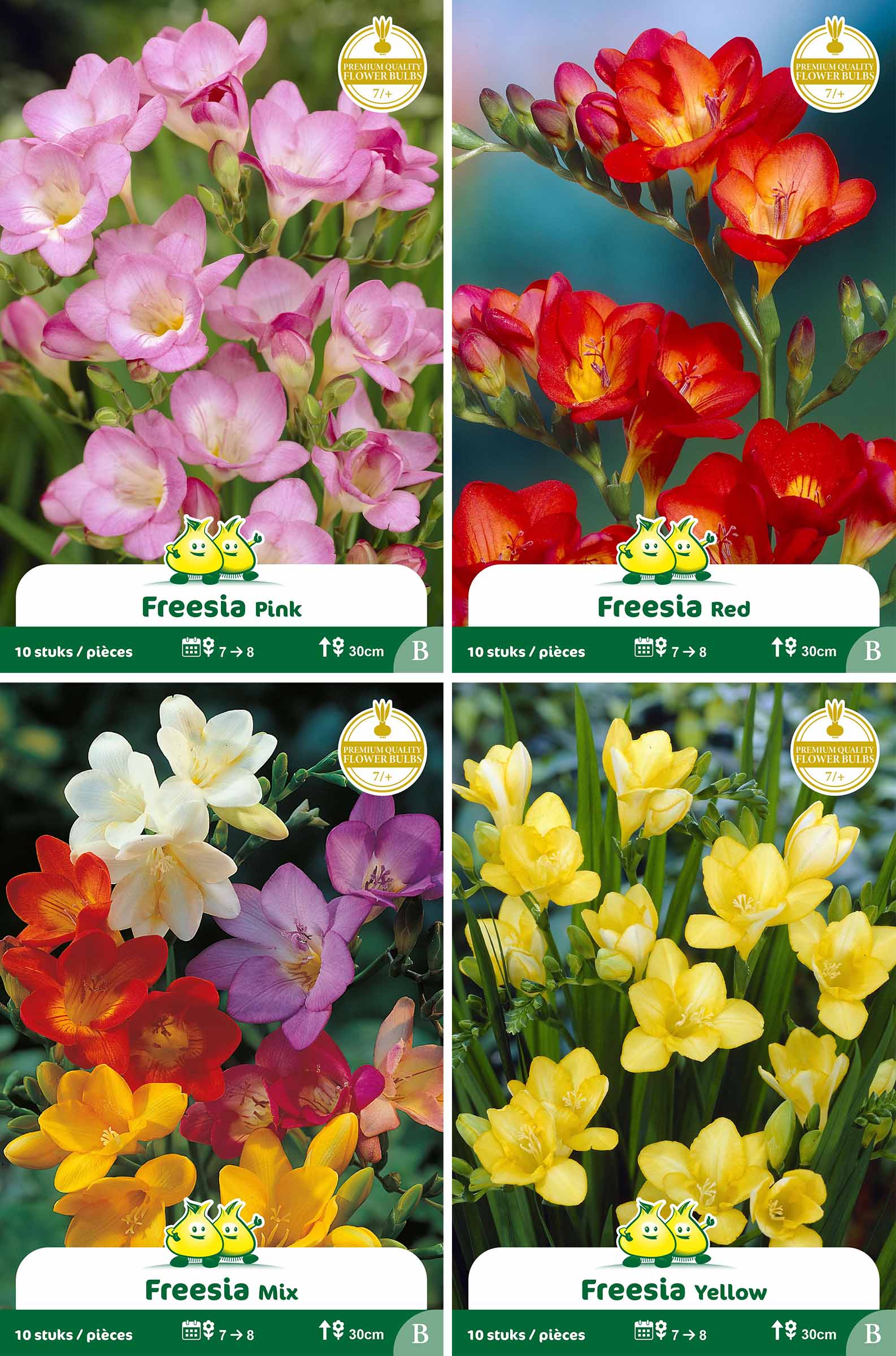 assortiment zakjes Freesia