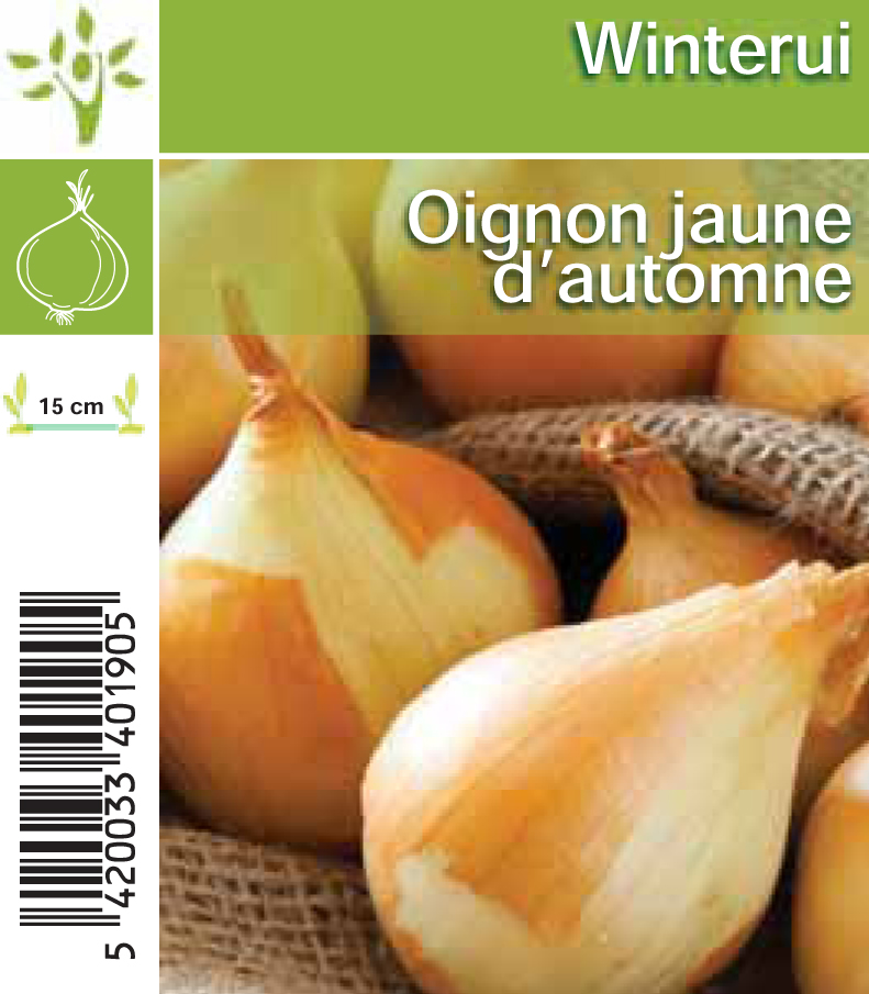 Winterui(per tray 8*6)