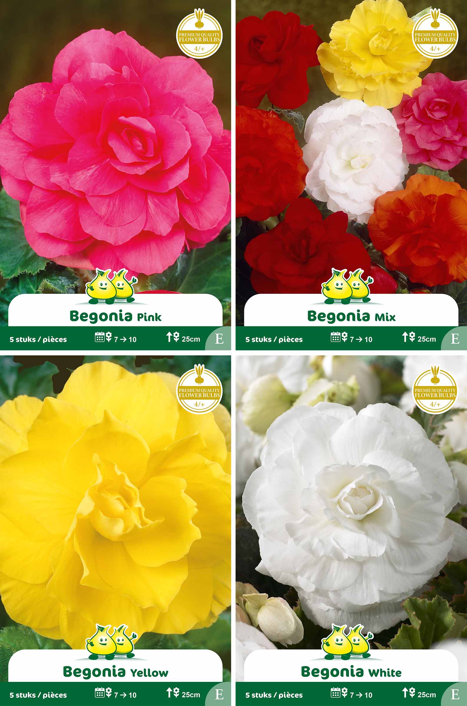 assortiment zakjes Begonia