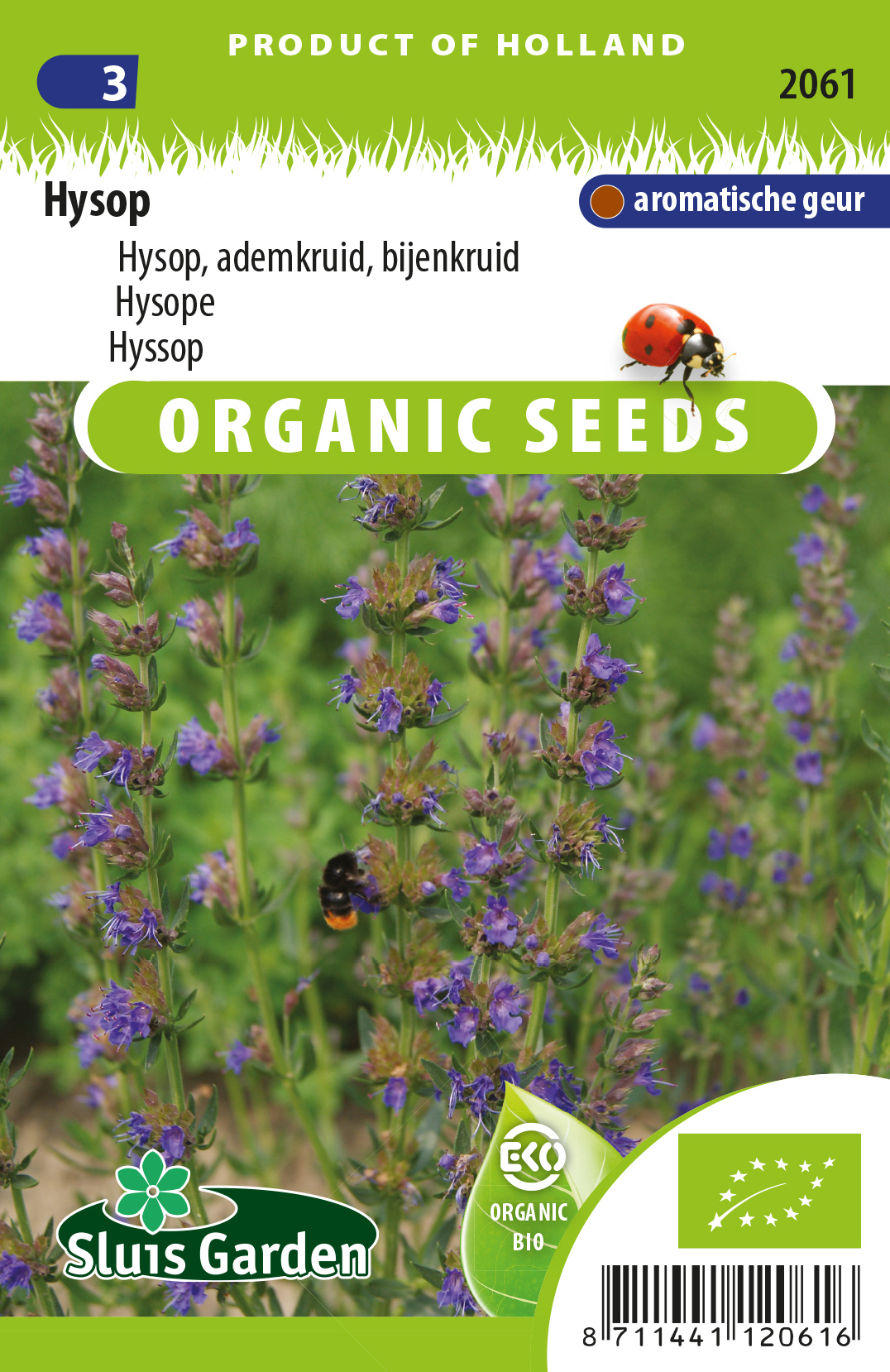 Hyssop officinalis BIO