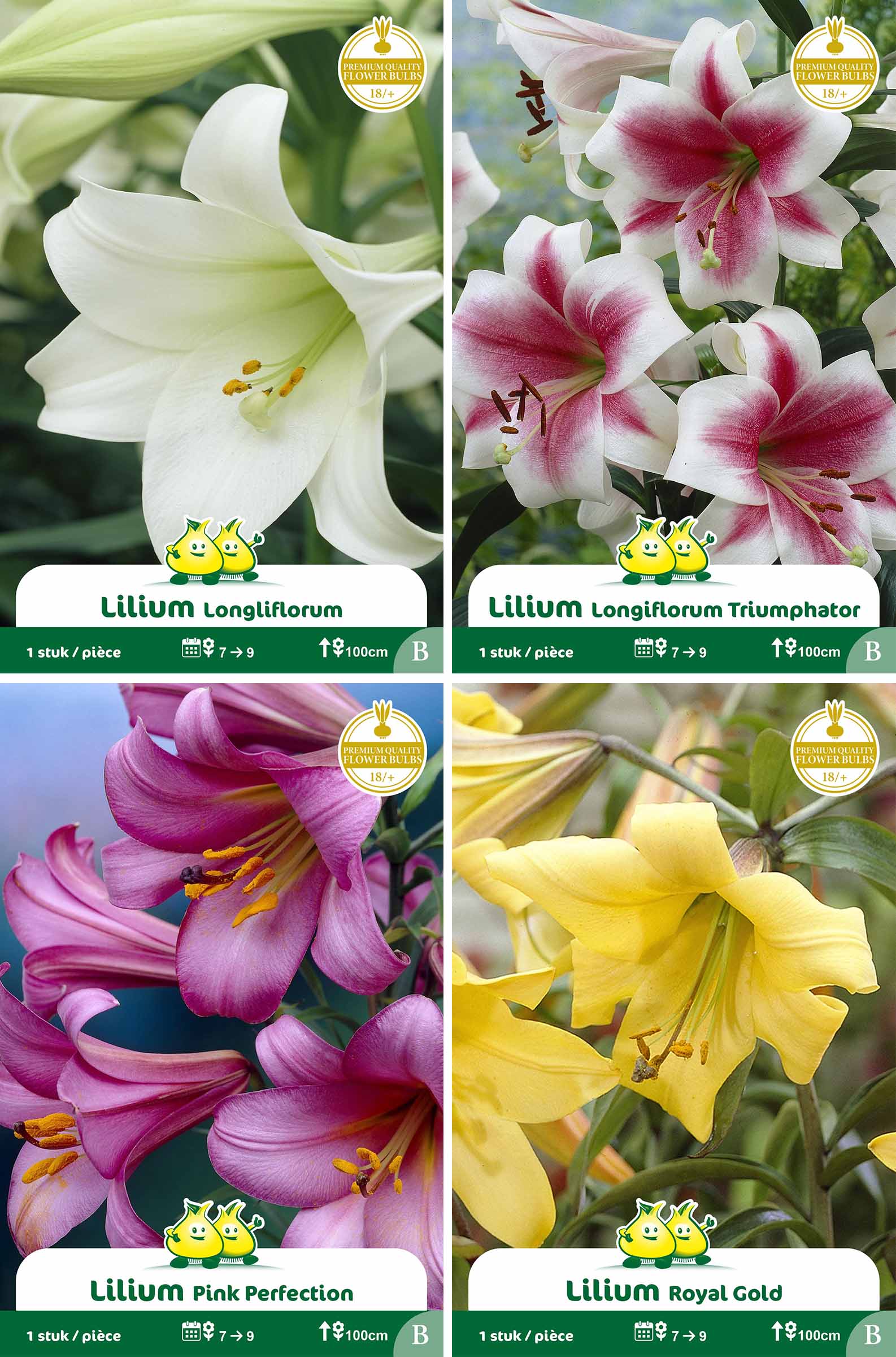 assortiment zakjes Trompet Lelie