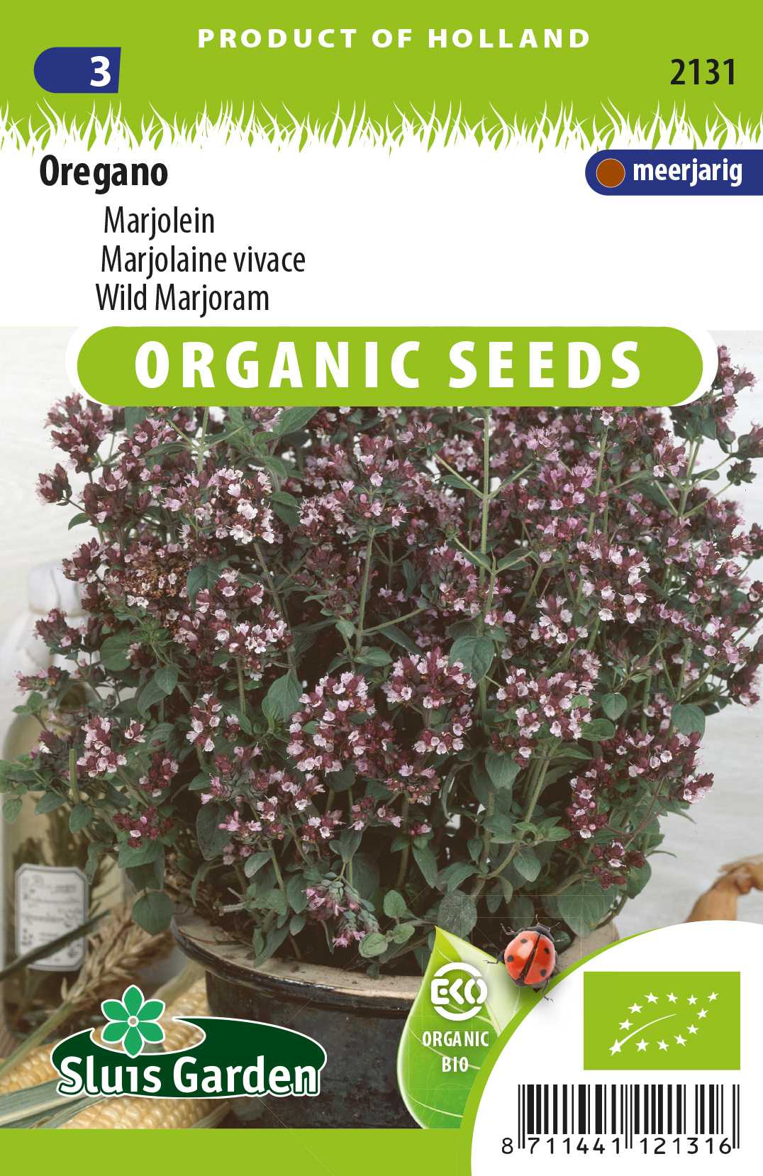 Oregano, Marjolein BIO