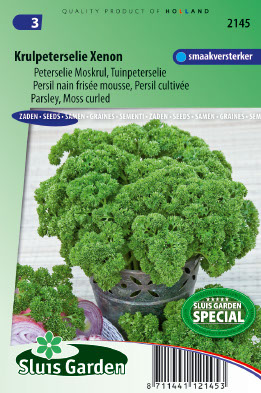 Persil nain frisÃ©e mousse Xenon