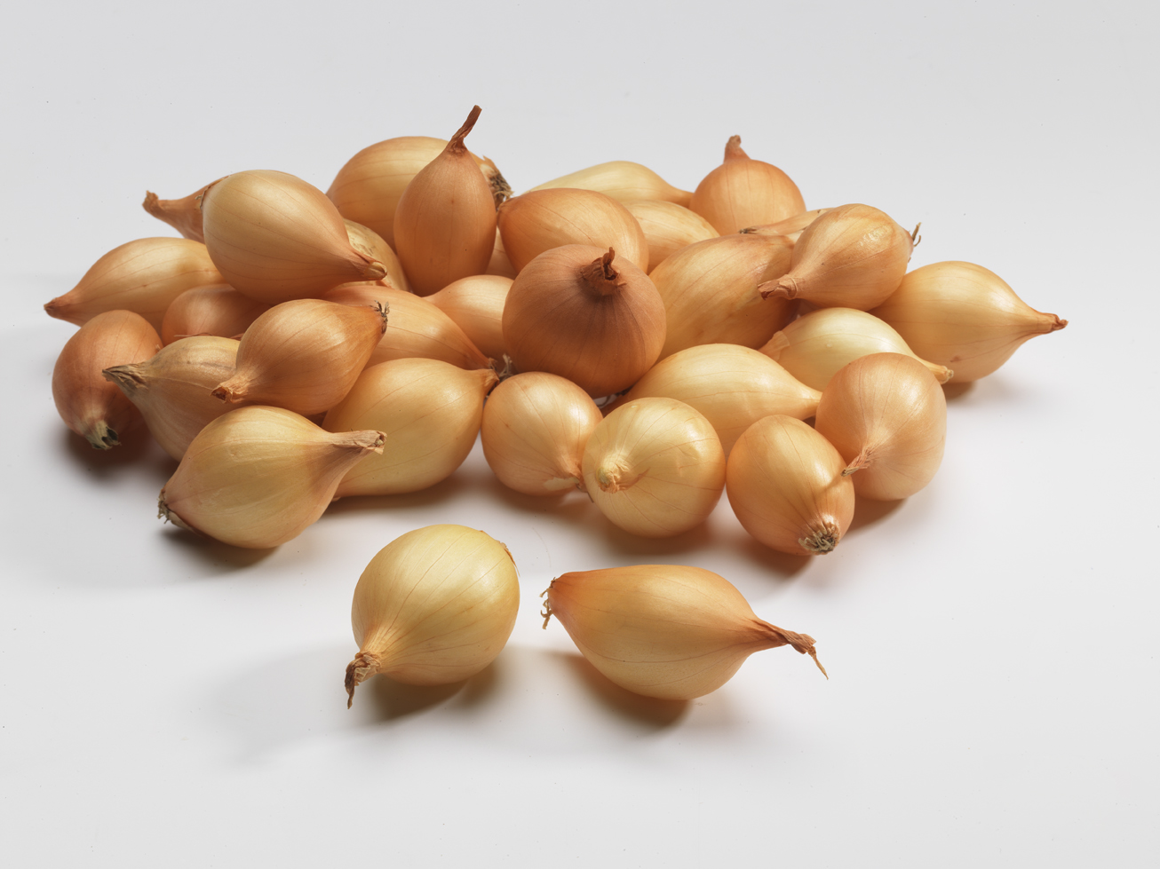 Sturon (1000g) (multiple de 10 kg)