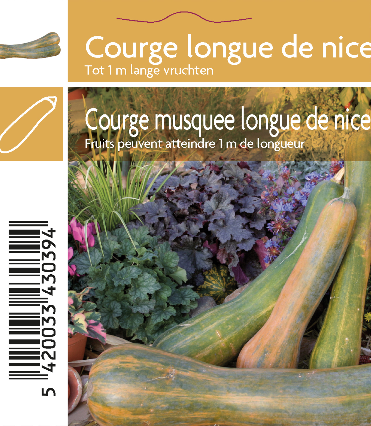 Courgette Longue de Nice (tray 12 pot)