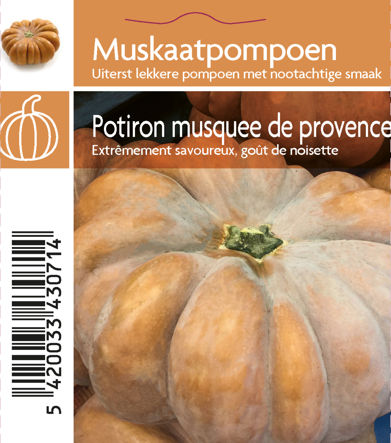 muskaat pompoen (tray 12 pot)