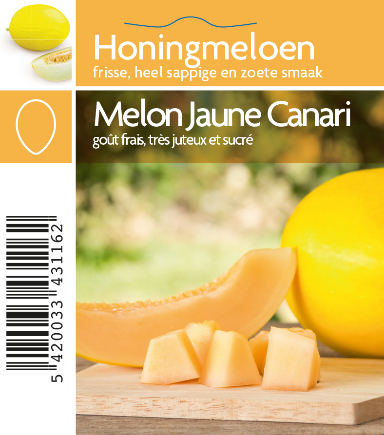 Melon jaune Canari (tray 12 pot)