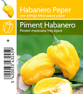 Piment Habanaero jaune  (tray 12 pot)