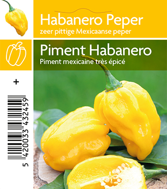 Peper Habanaero Geel (tray 12 pot)