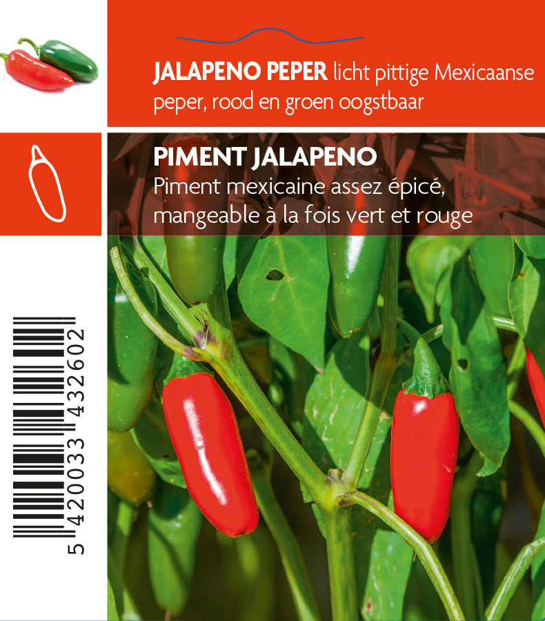 Peper jalapeno (tray 12 pot)