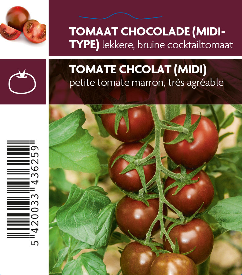 Tomate chocolate (tray 12 pot)