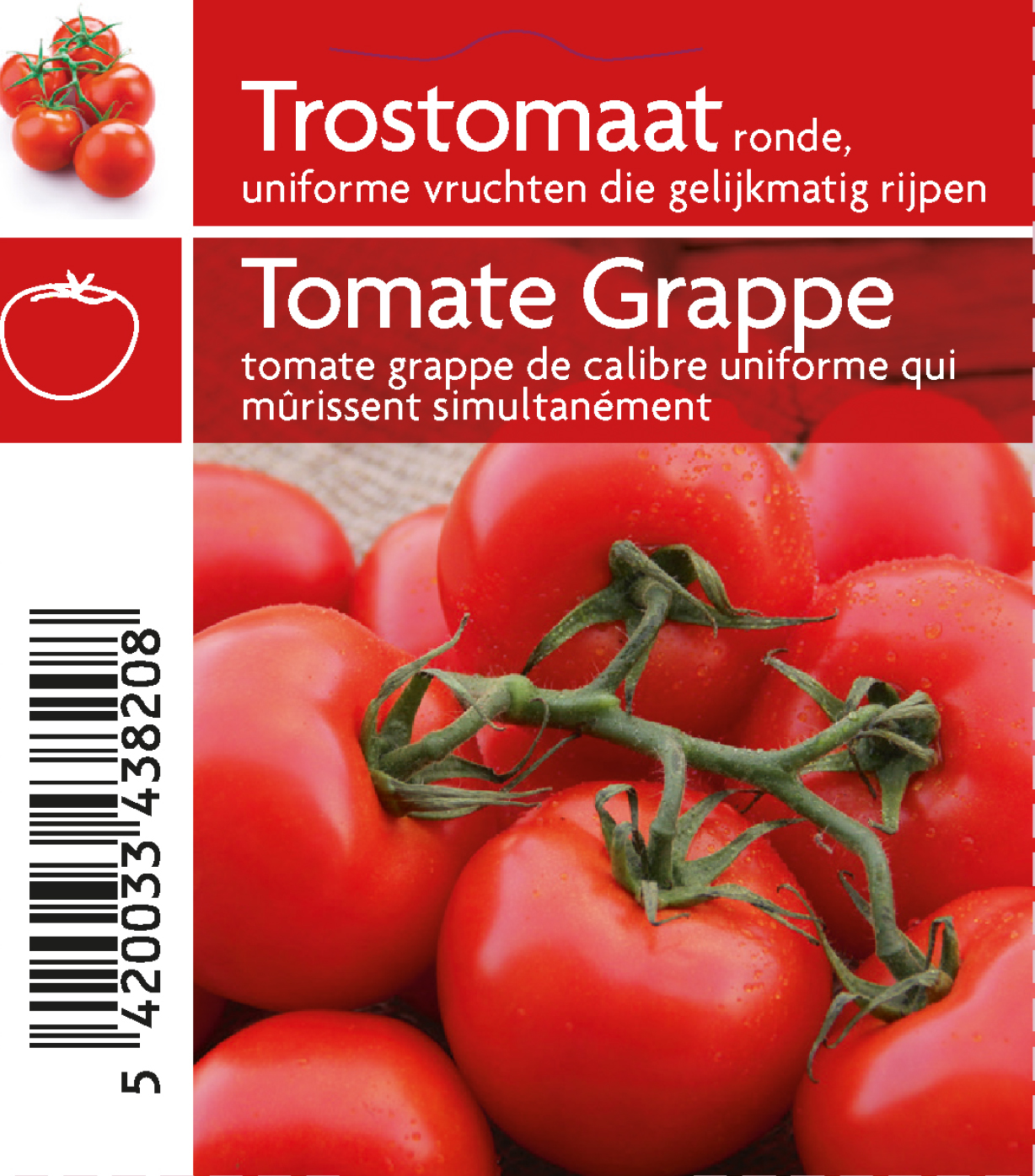 Tomates en grappes (tray 12 pot)