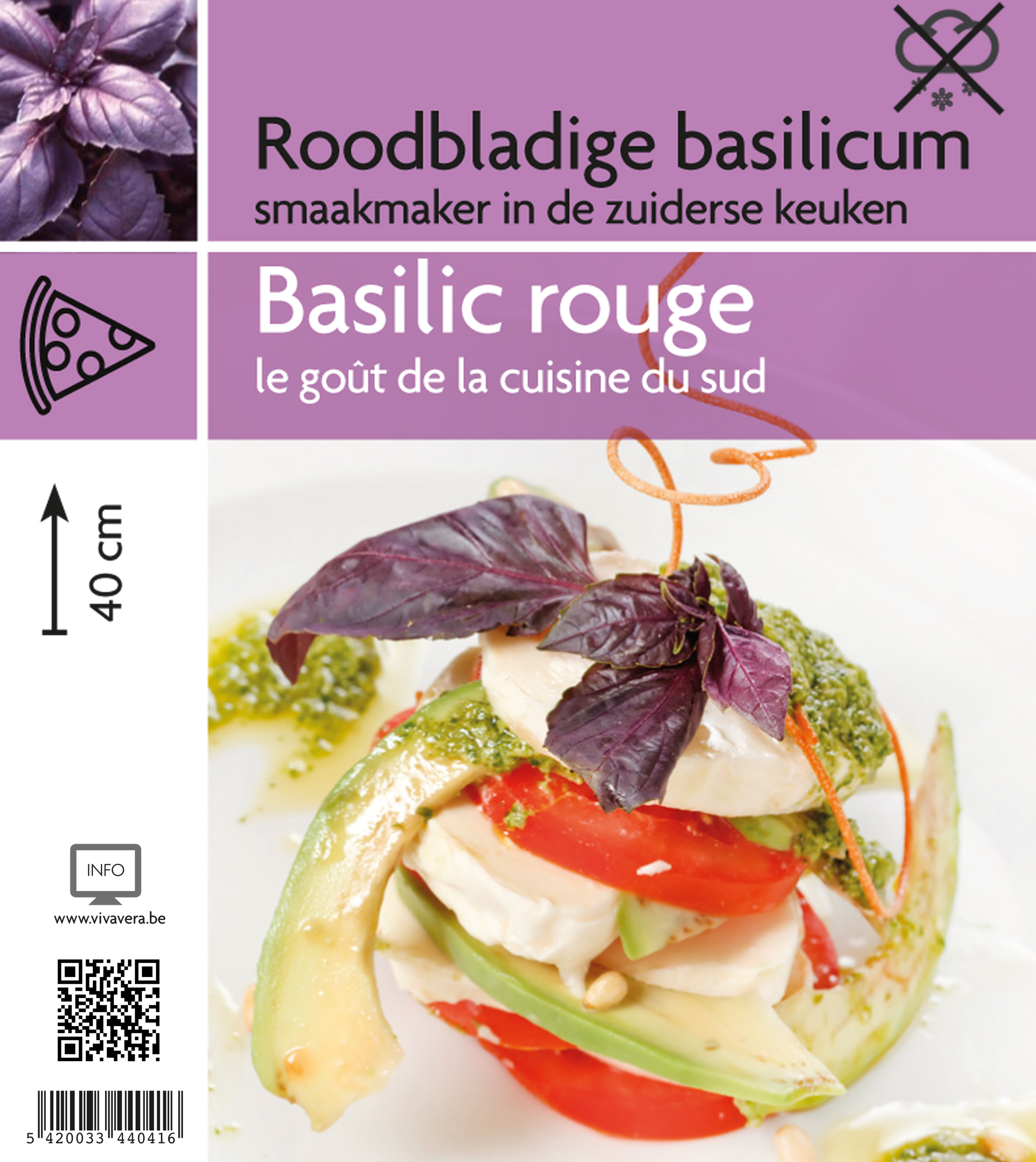 Basilic feuilles rouge (tray 15 pot)