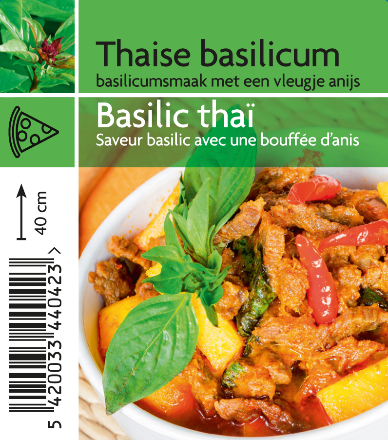 Basilicum Siam Queen (tray 15 pot)