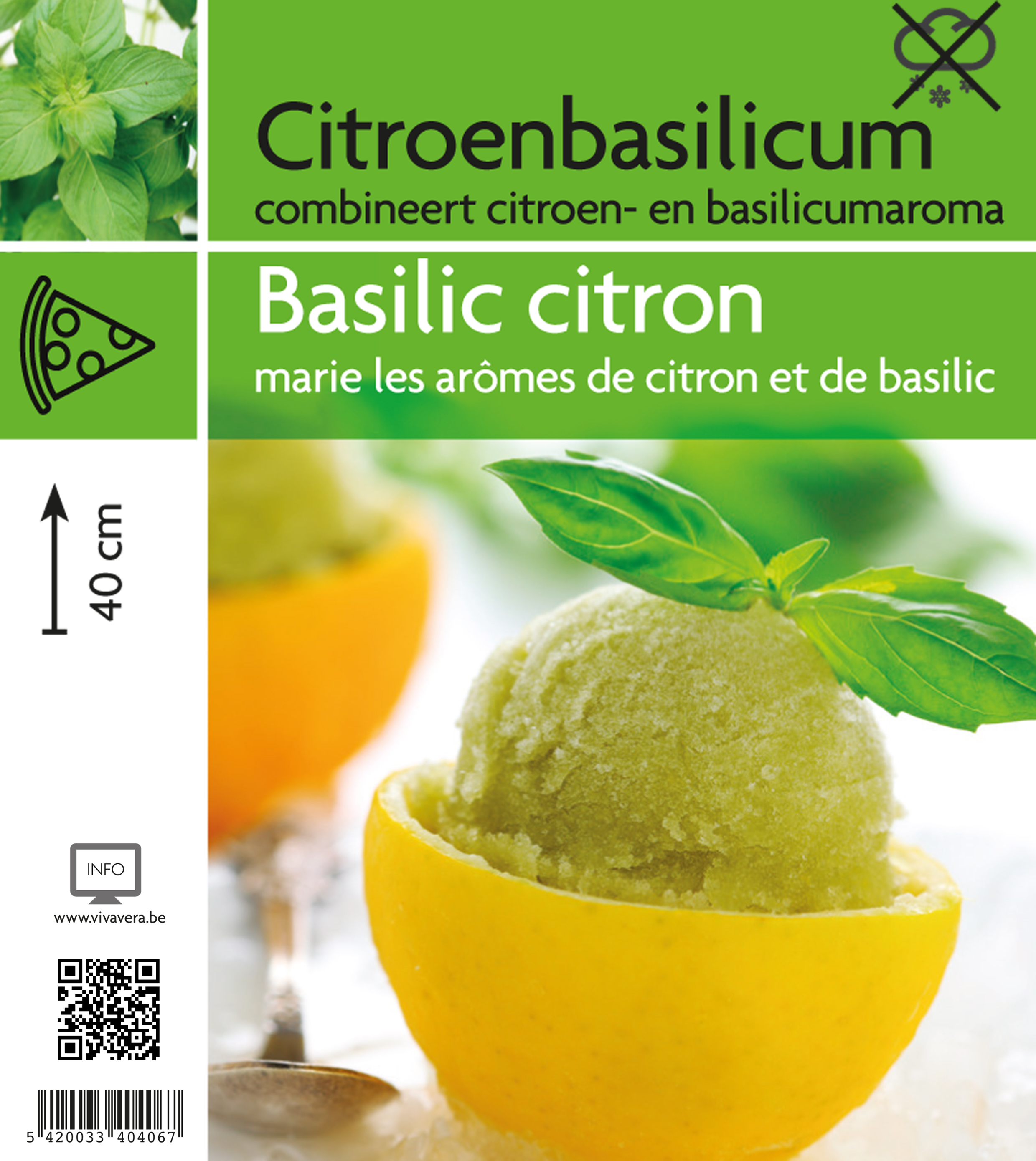 Citroenbasilicum (tray 15 pot)