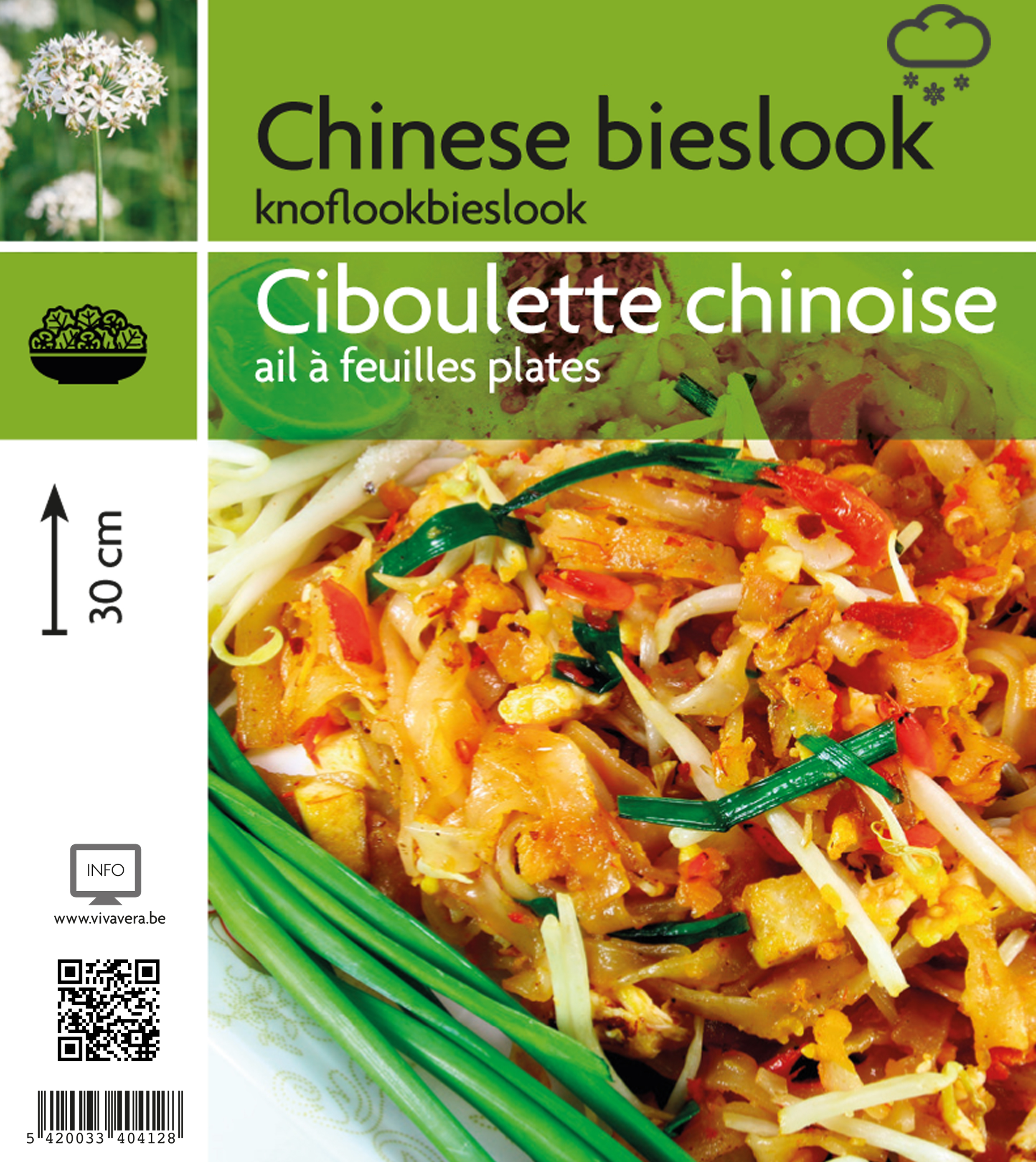 Ciboulette chinois (tray 15 pot)