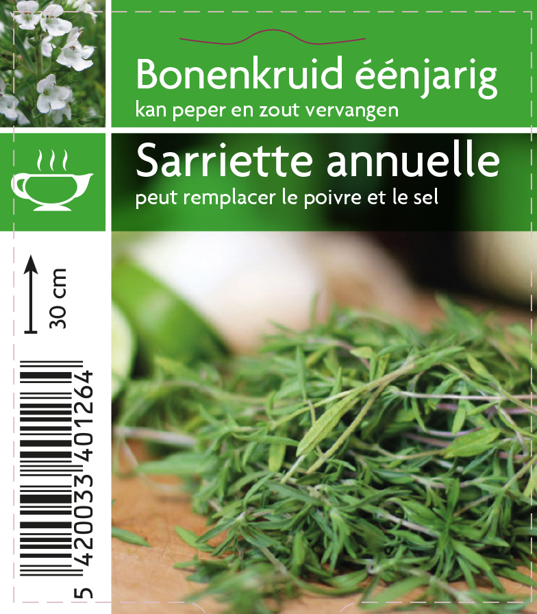 Sariette annuelle (tray 15 pot)